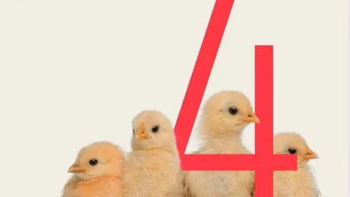 Oxford Mathematics 4