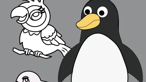 Bird Colouring Book